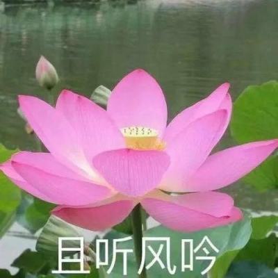 深化产业融合 共享合作机遇（两岸脉动）