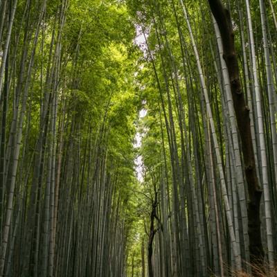 【故事系列】牌子上的花样